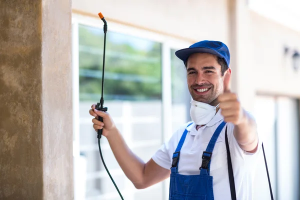 Reynoldsburg Wasp Removal