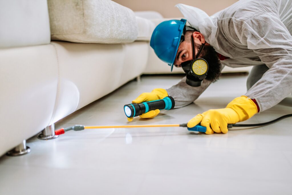 Reynoldsburg Termite Control